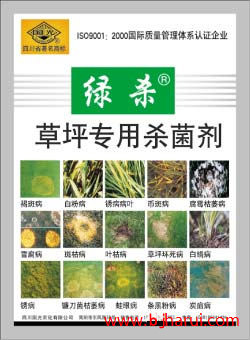 國光綠殺